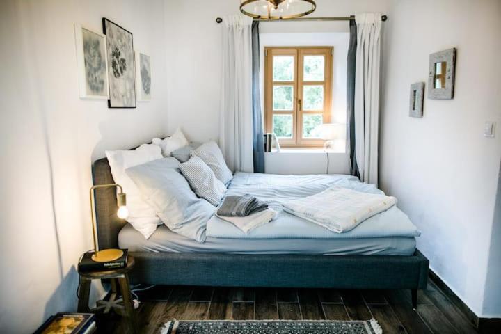 Apartment Aussee- Beletage Salzherrenhof- Kueche, Wlan, Netflix Bad Aussee Exteriör bild