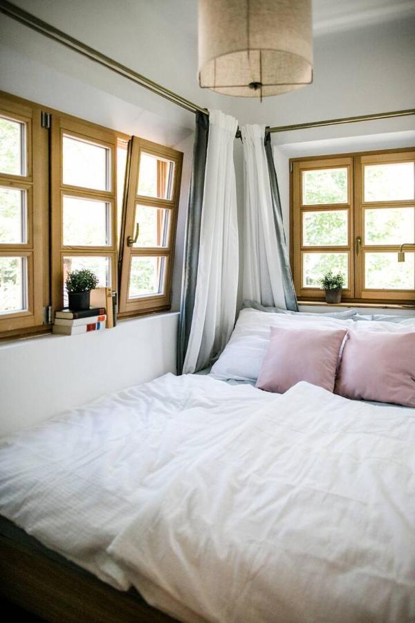 Apartment Aussee- Beletage Salzherrenhof- Kueche, Wlan, Netflix Bad Aussee Exteriör bild