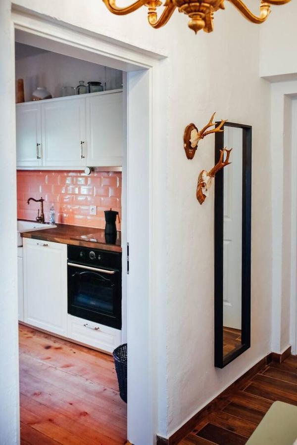 Apartment Aussee- Beletage Salzherrenhof- Kueche, Wlan, Netflix Bad Aussee Exteriör bild
